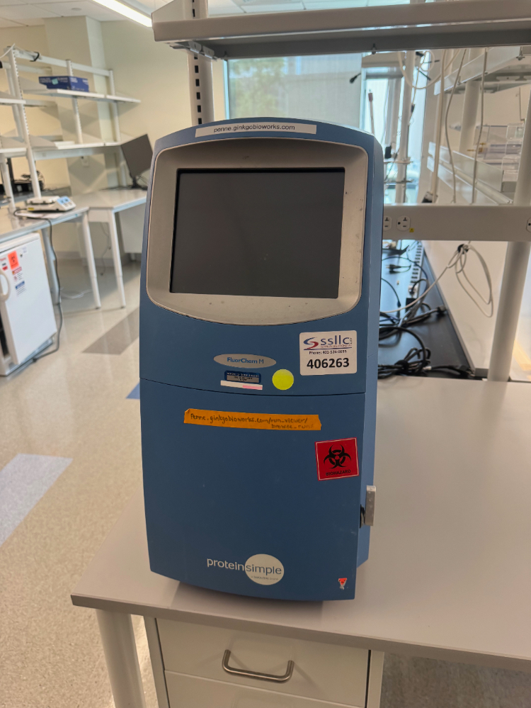 Image of ProteinSimple FluorChem M Fluorescent Western Blot System